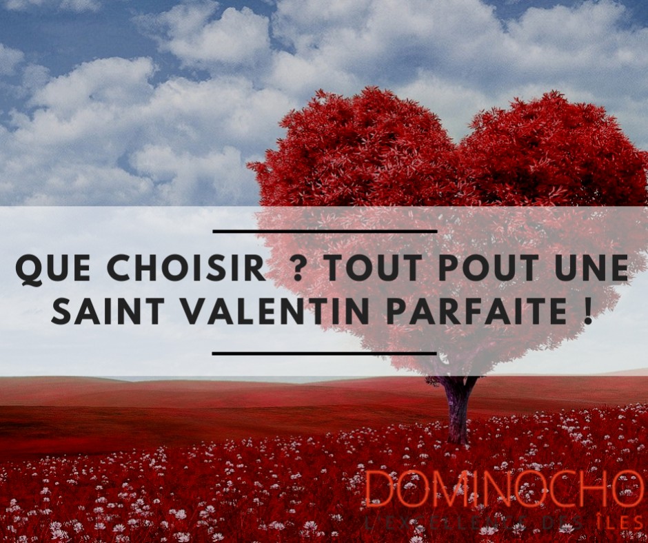 Que choisir  ?  Tout pout une Saint Valentin parfaite !